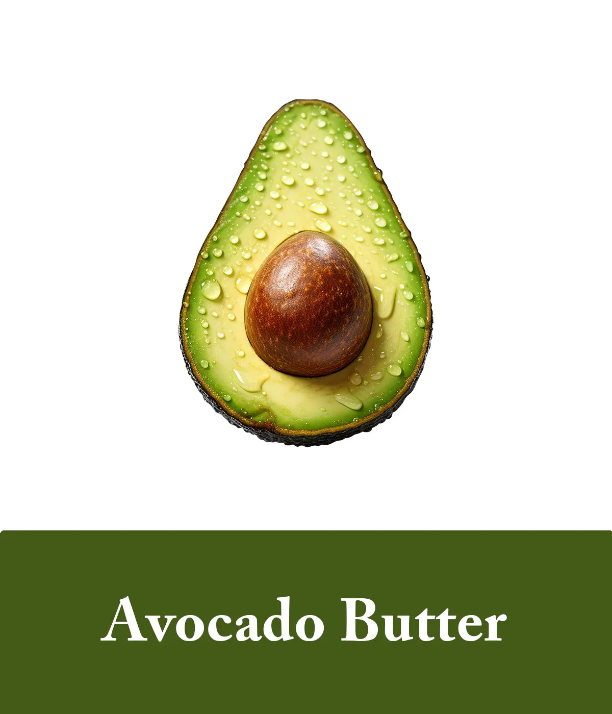 depiction of avocado butter in an unscented shampoo