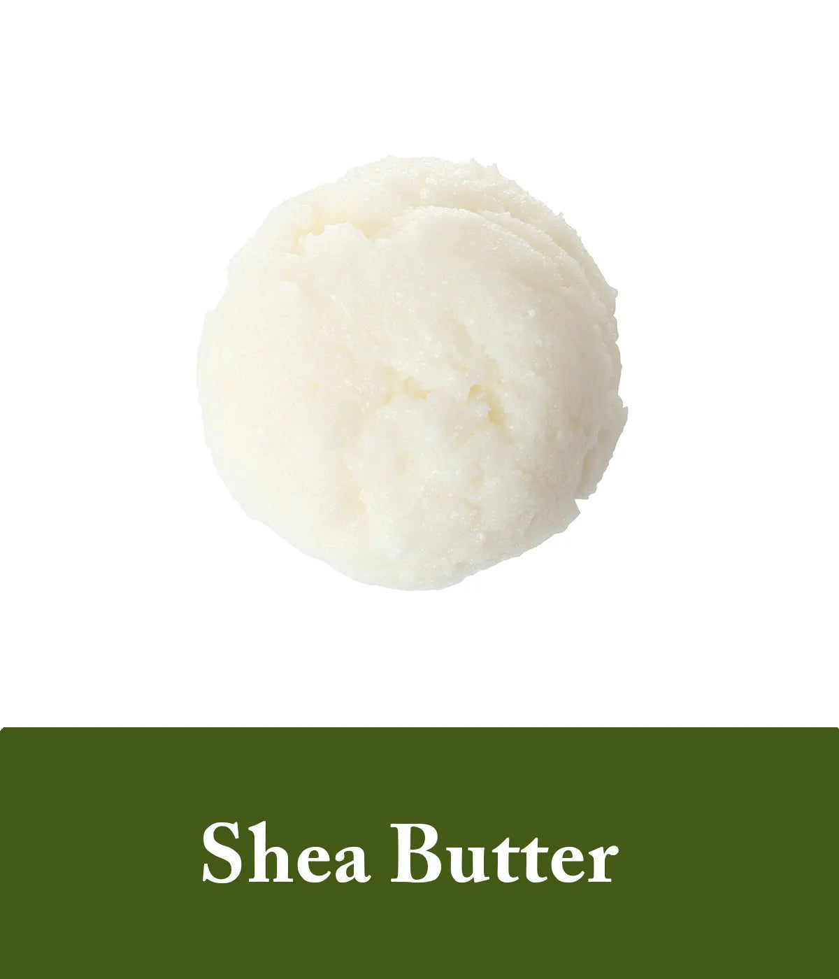 shea butter in unscented shampoo