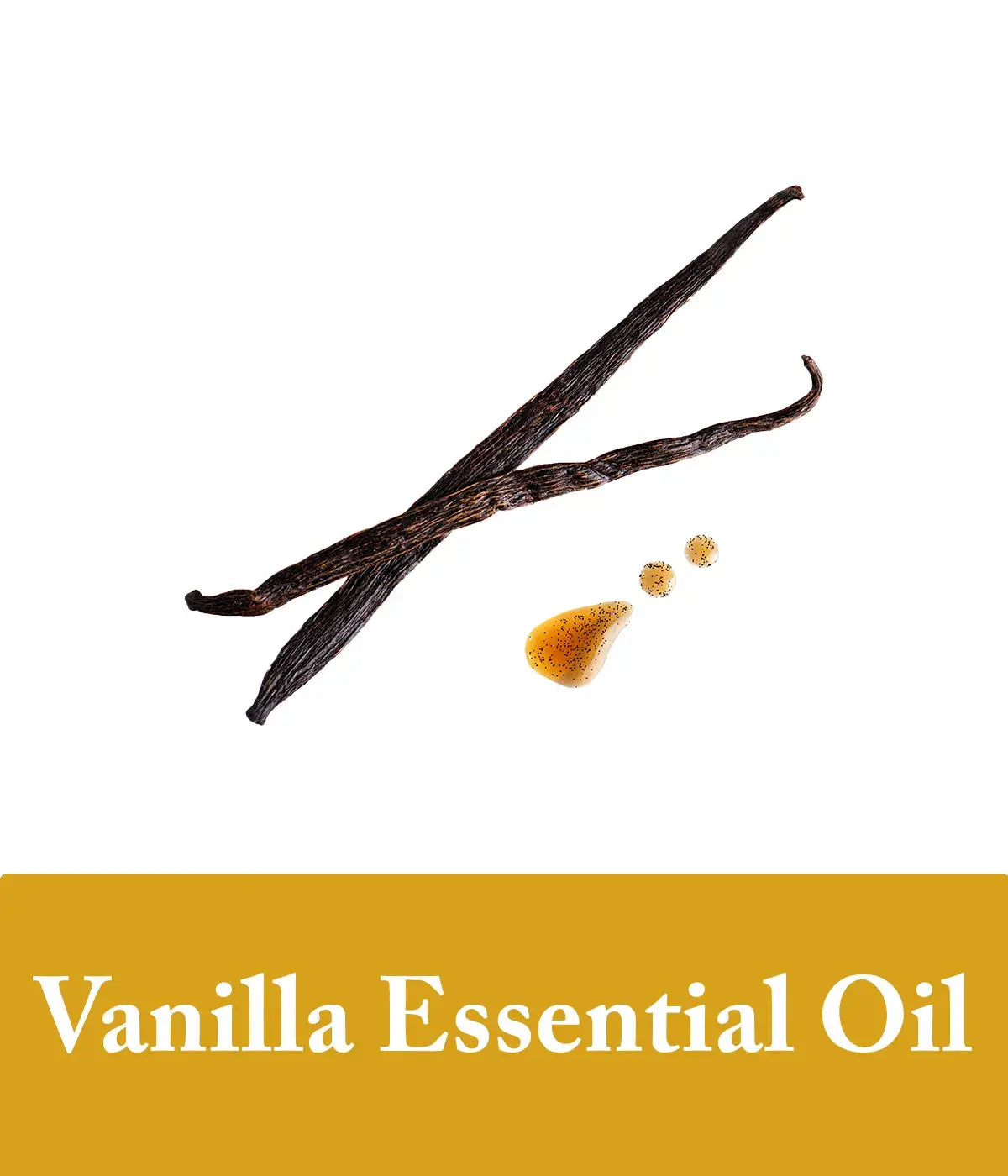 vanilla bean shampoo