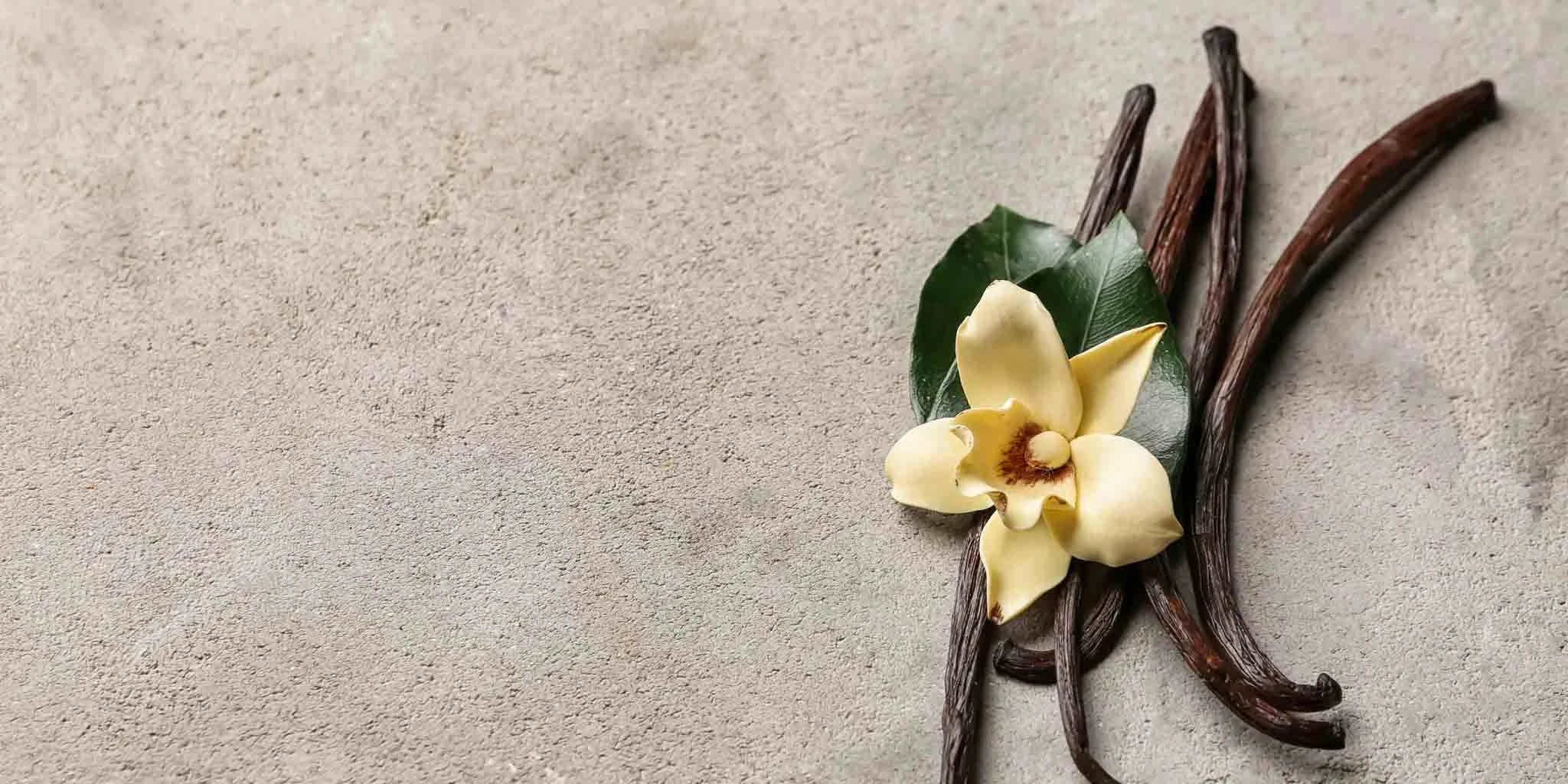 Vanilla Shampoo Benefits