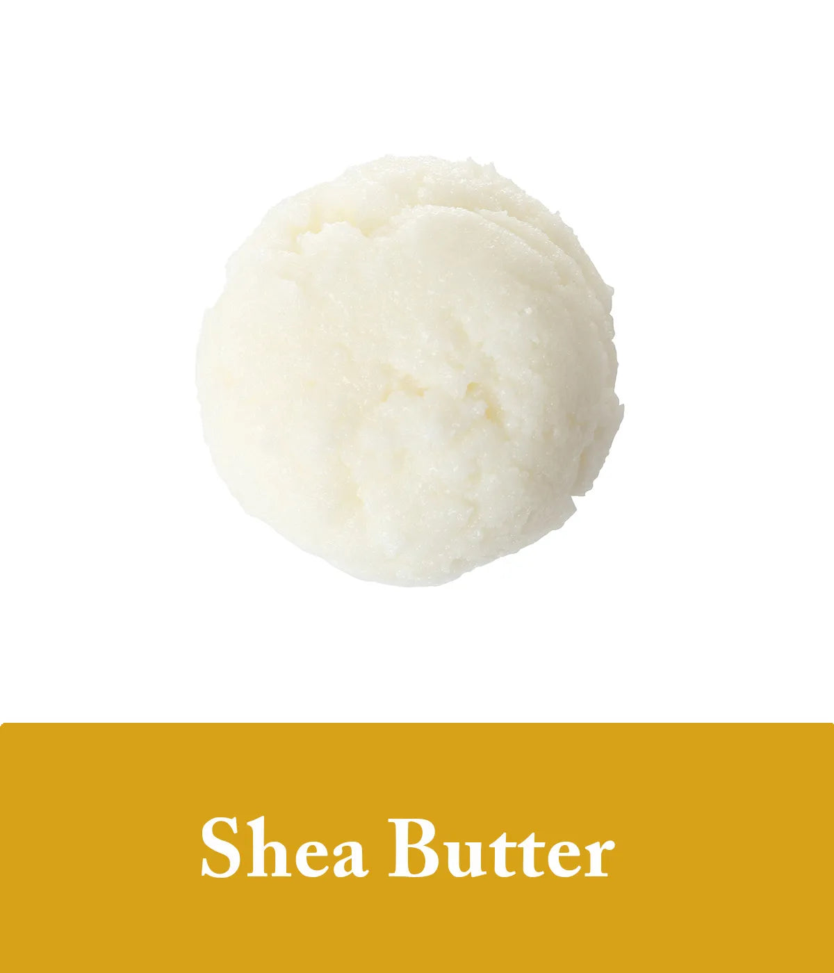 shea butter and vanilla shampoo