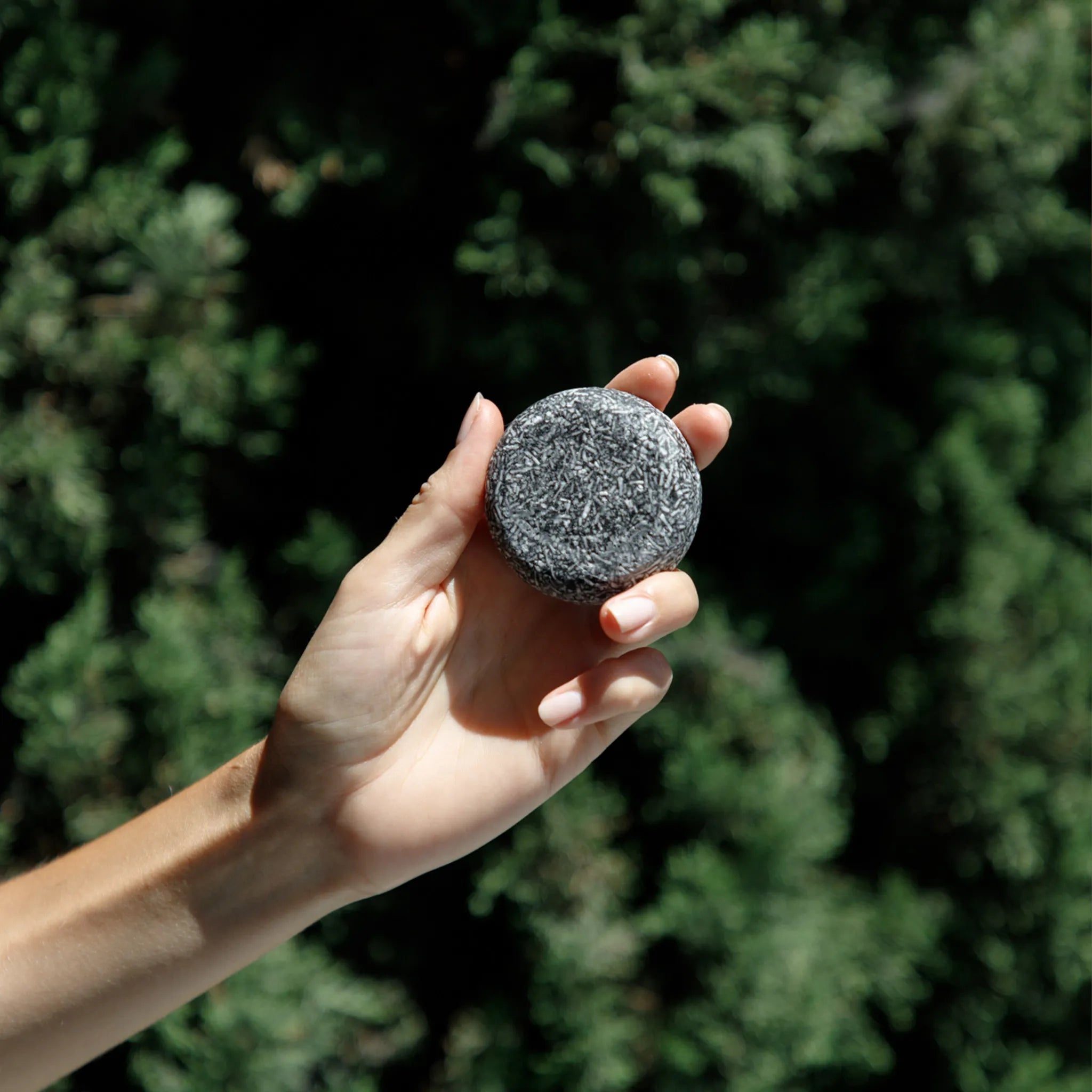 Vegan Charcoal Shampoo