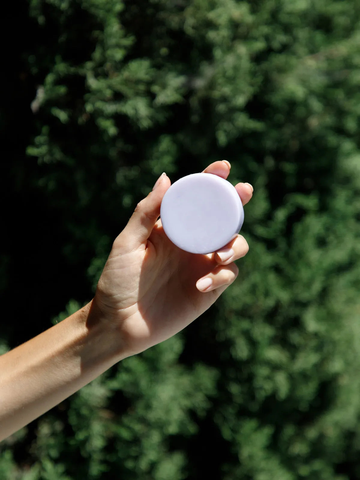 Vegan Conditioner Bar Lavender