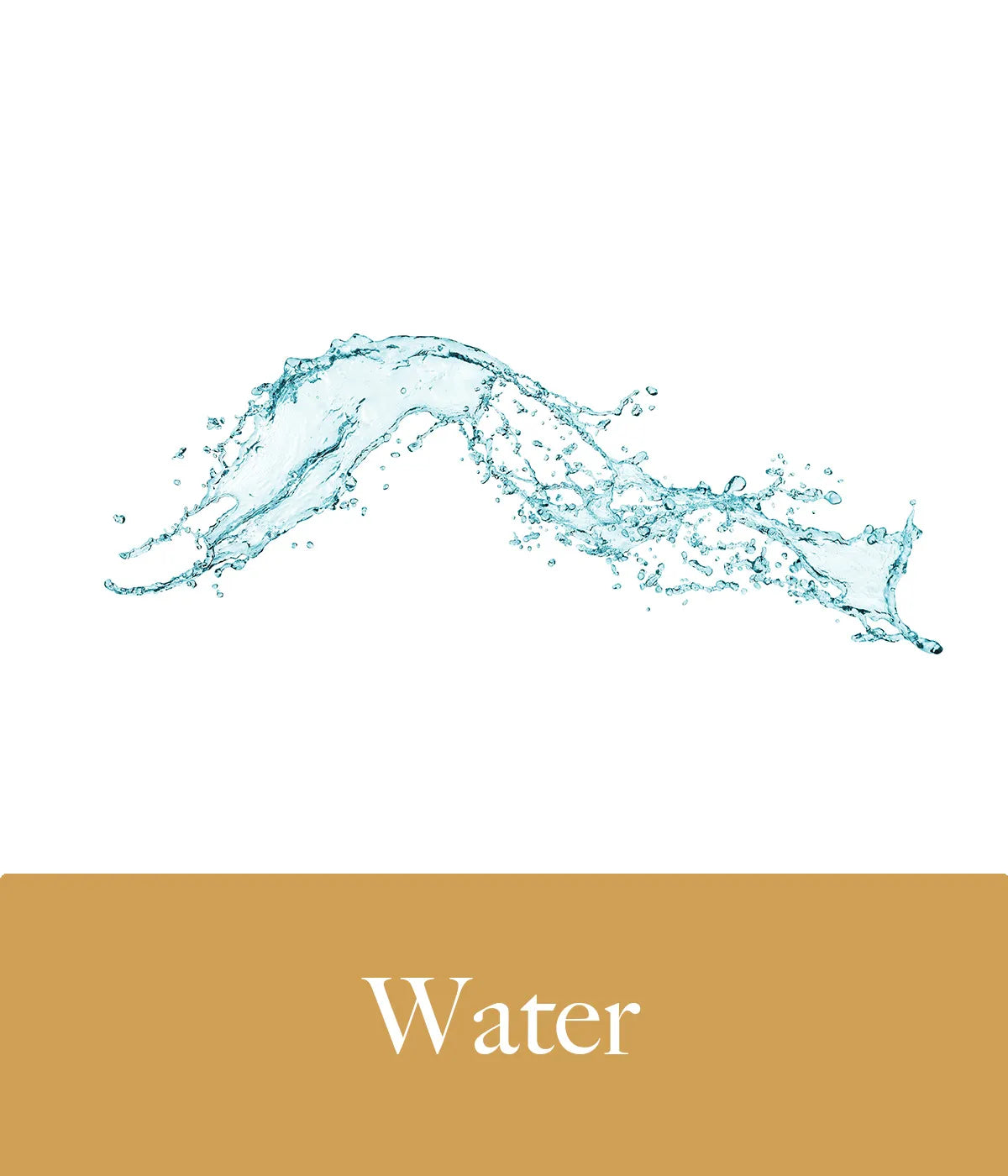 Water Konjac Sponge Turmeric Ingredient