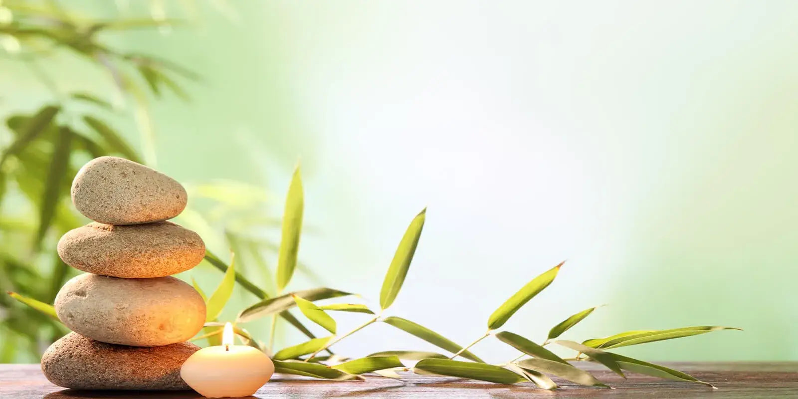 What Factors Affect Bamboo Growth
