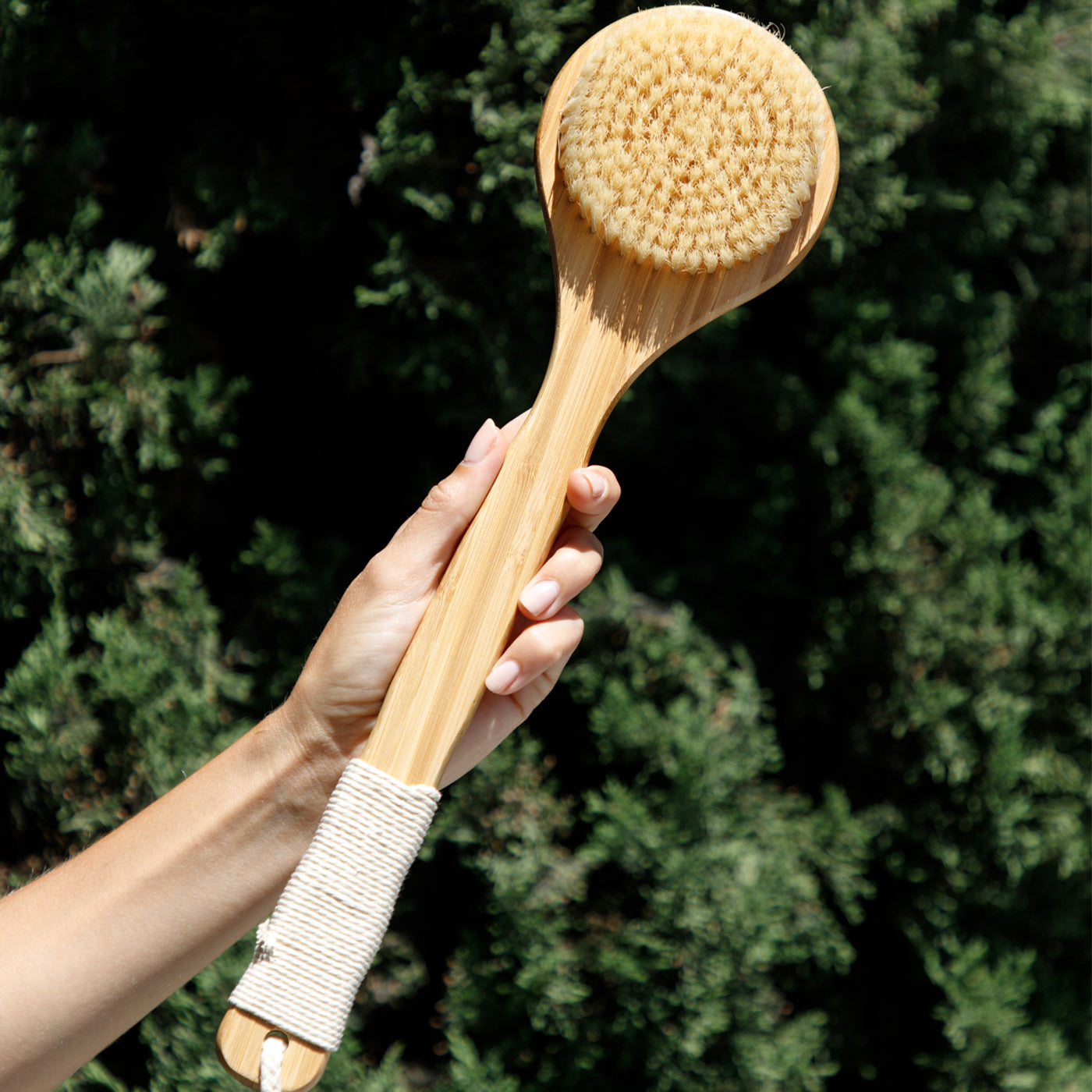 Benefits of Body Brushing