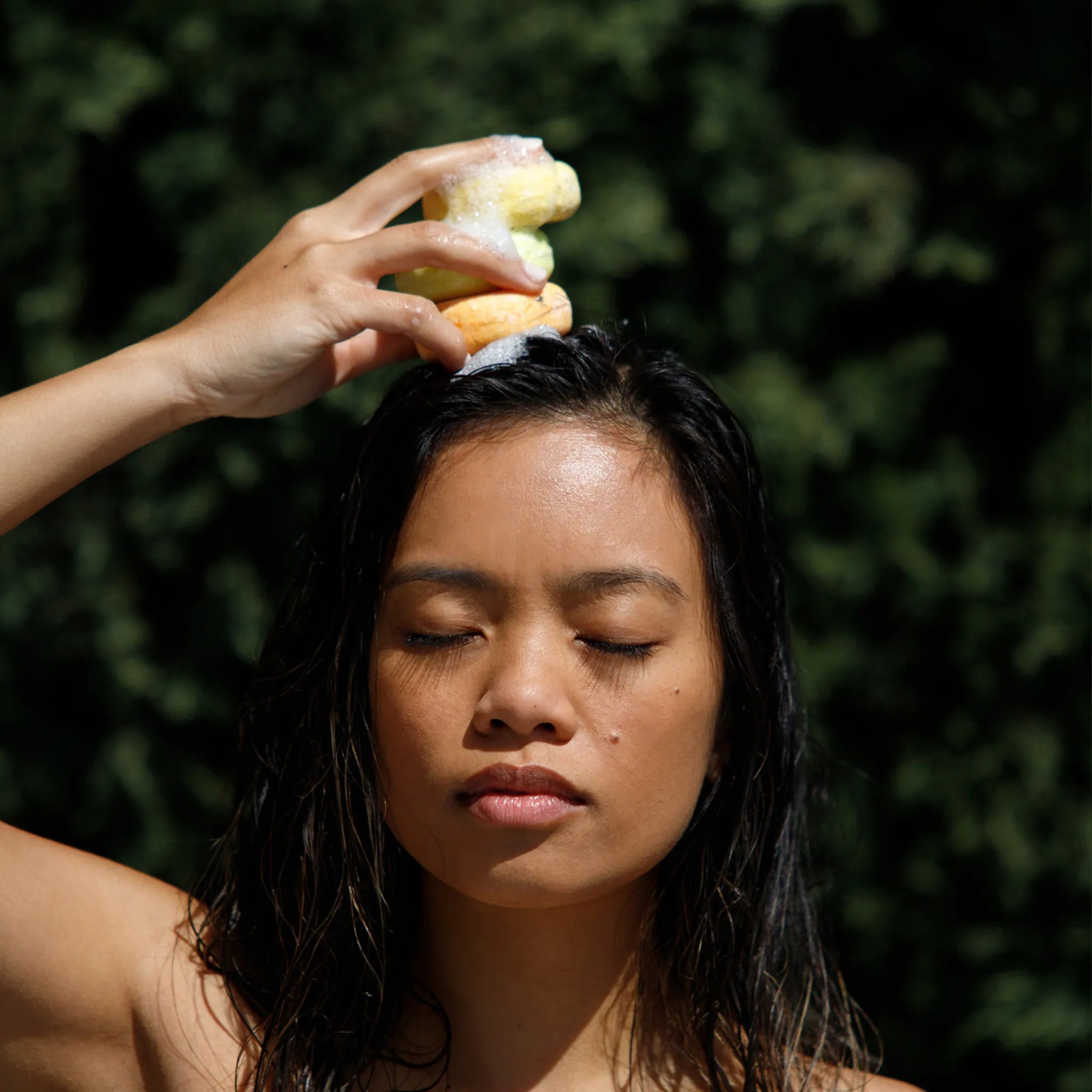 olive oil shampoo