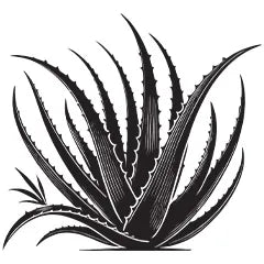 Tea tree and aloe vera shampoo