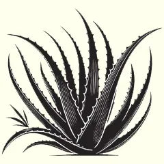 purple shampoo bar with aloe vera