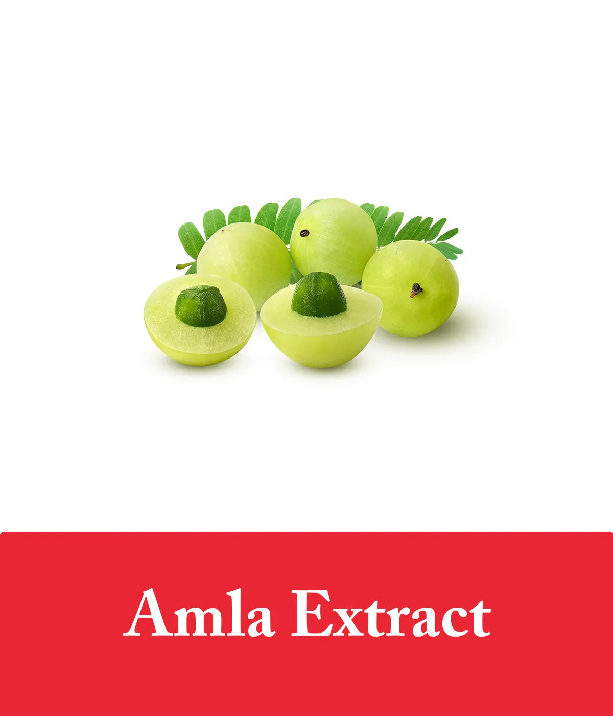 Amla extract in strawberry shampoo and conditioner