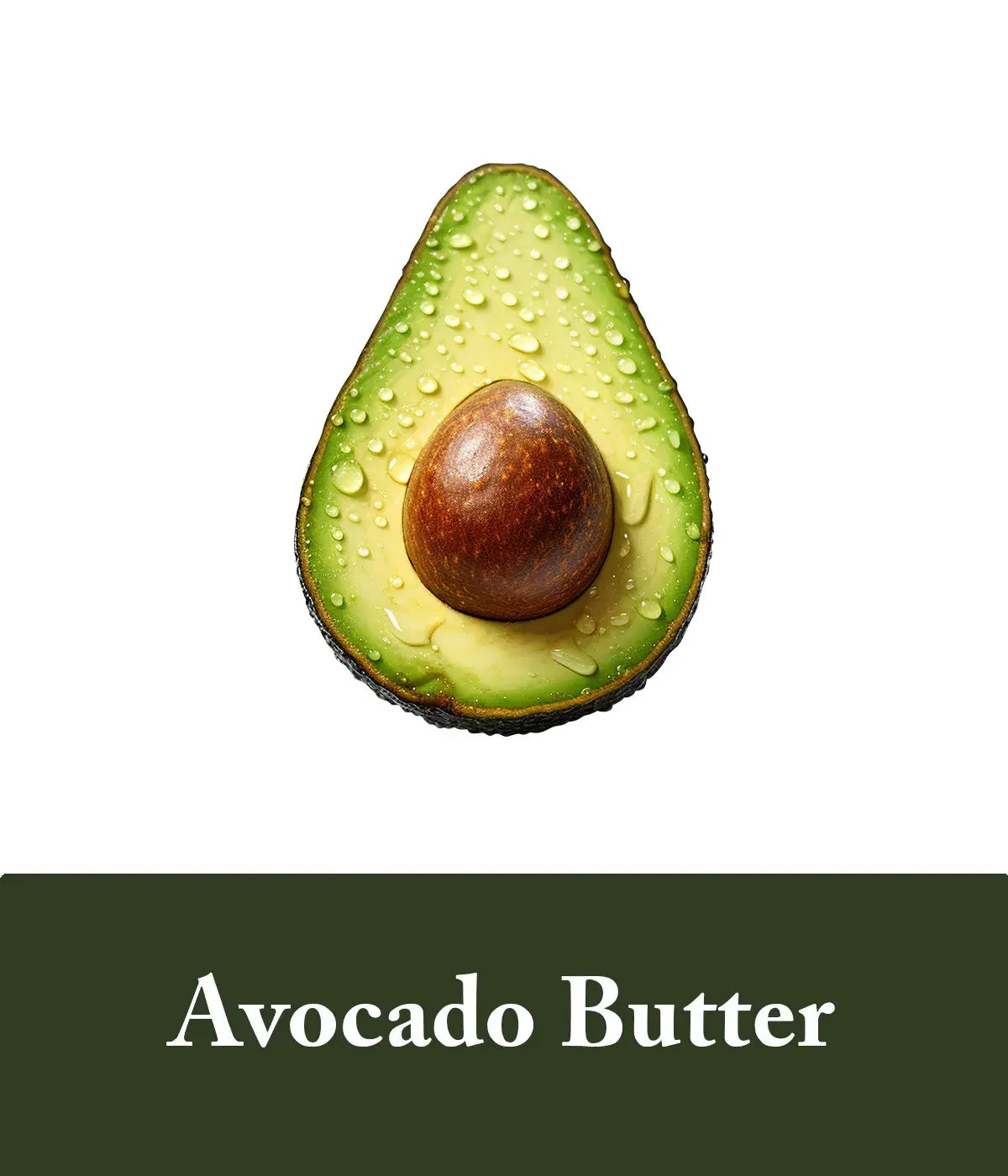 rice and avocado butter protein
