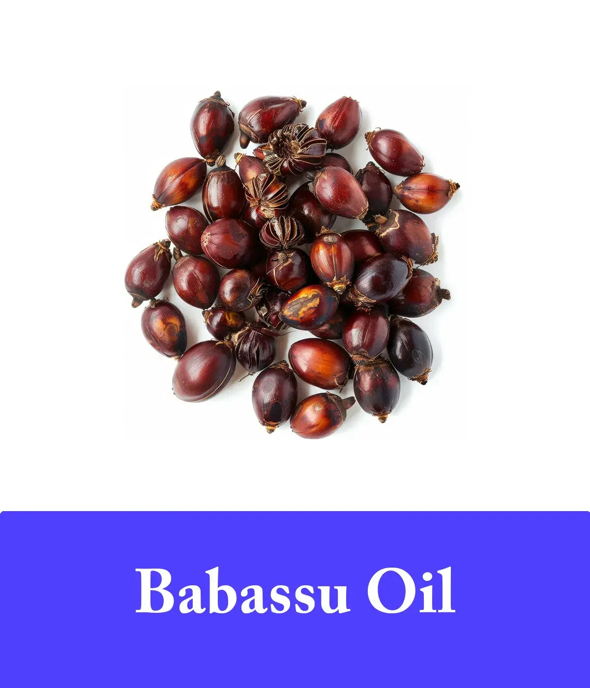 lavender oil and babassu shampoo and conditioner