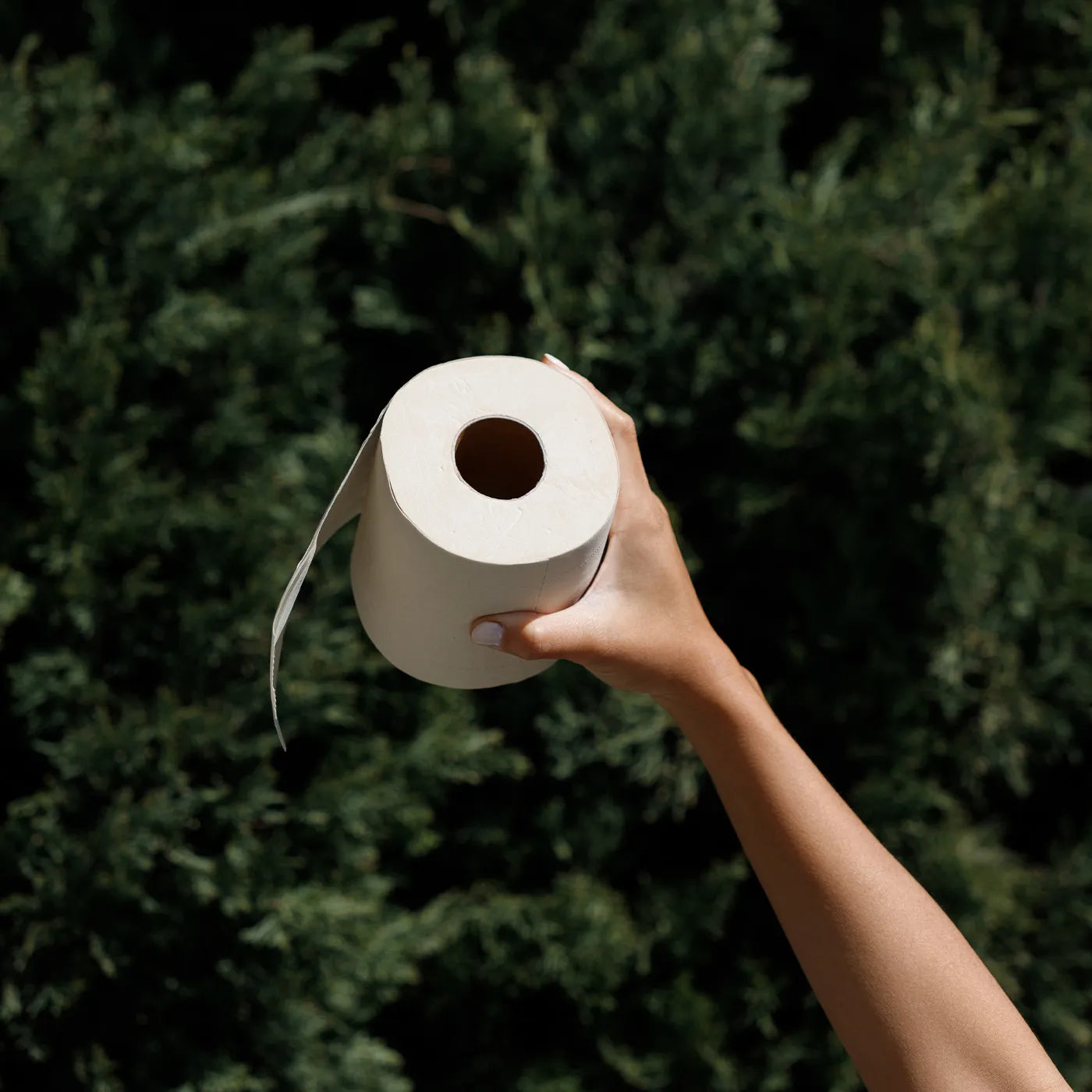 bamboo toilet paper pros