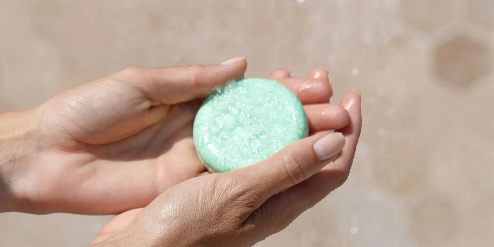 bar shampoo how to use