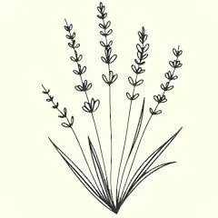 icon for the best lavender shampoo and conditioner