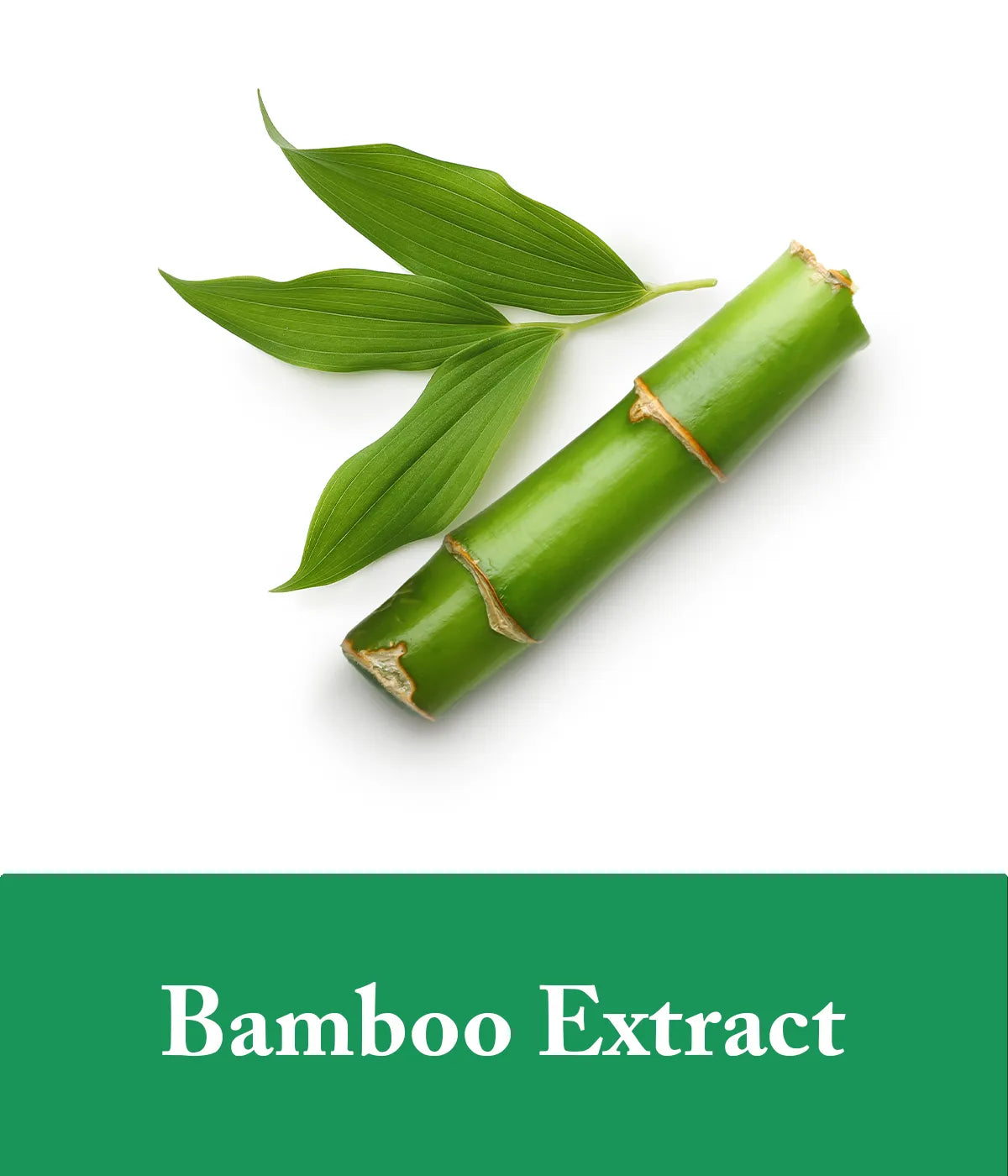 bamboo extract in biotin shampoo
