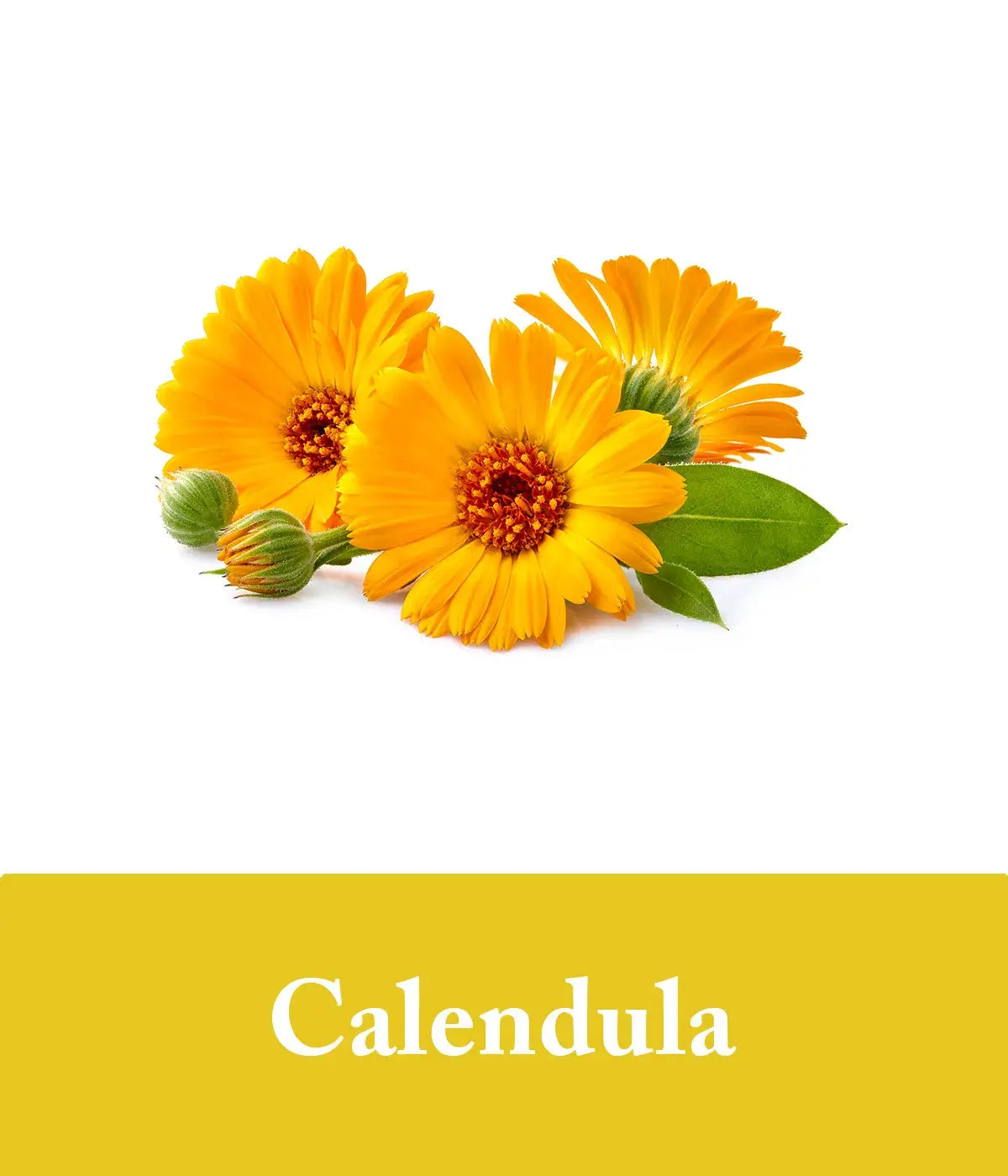 turmeric soap with calendula
