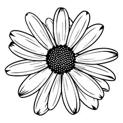 honey conditioner with chamomile