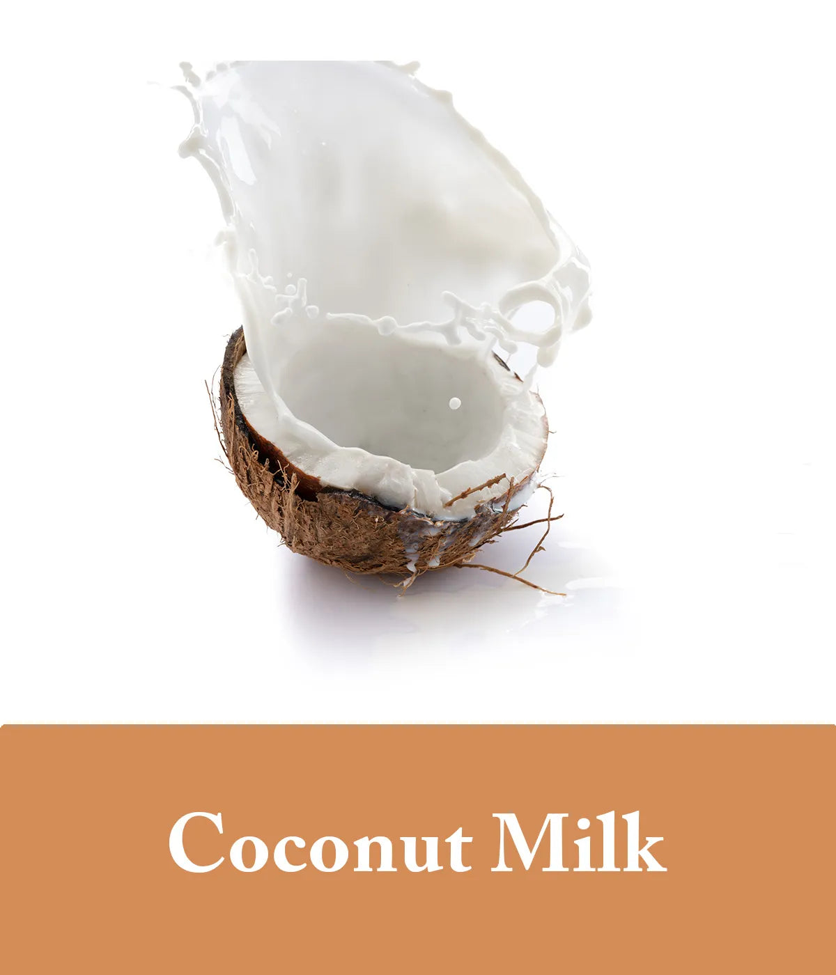 photo depicting nourishment of coconut milk shampoo