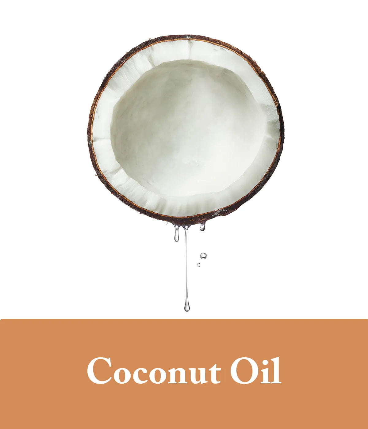 icon for shampoo with coconut oil