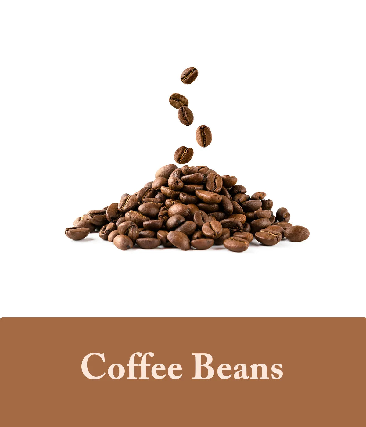 coffee shampoo with coffee extract