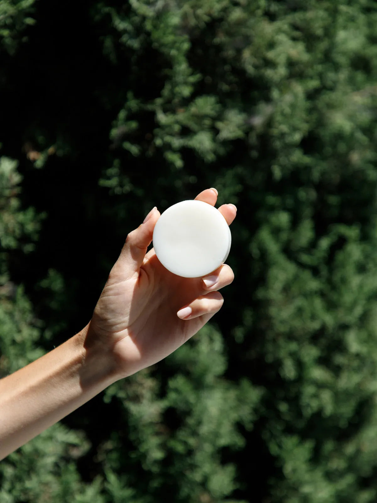 eco friendly conditioner bar from seek bamboo on a natural forest backdrop