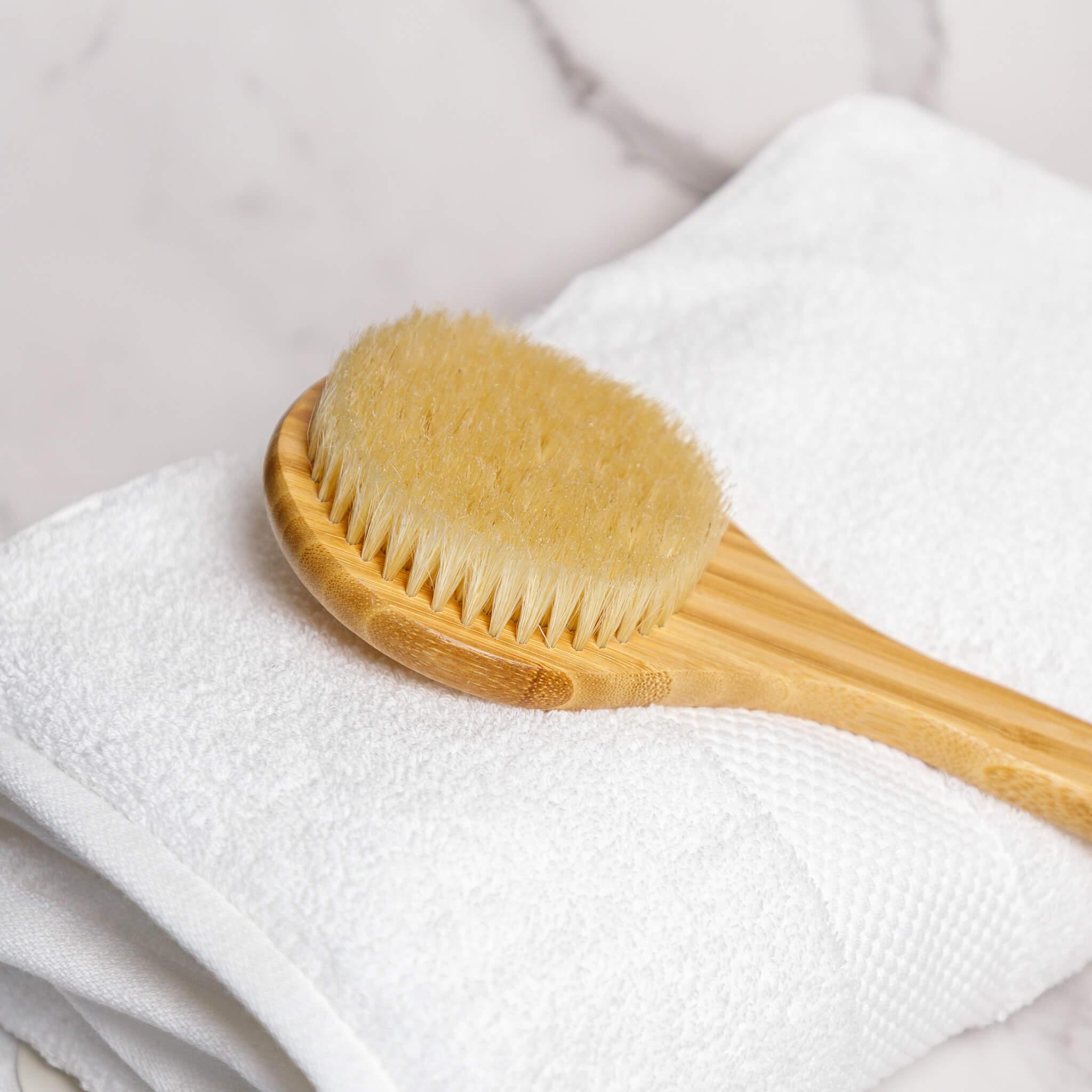 Dry body brush