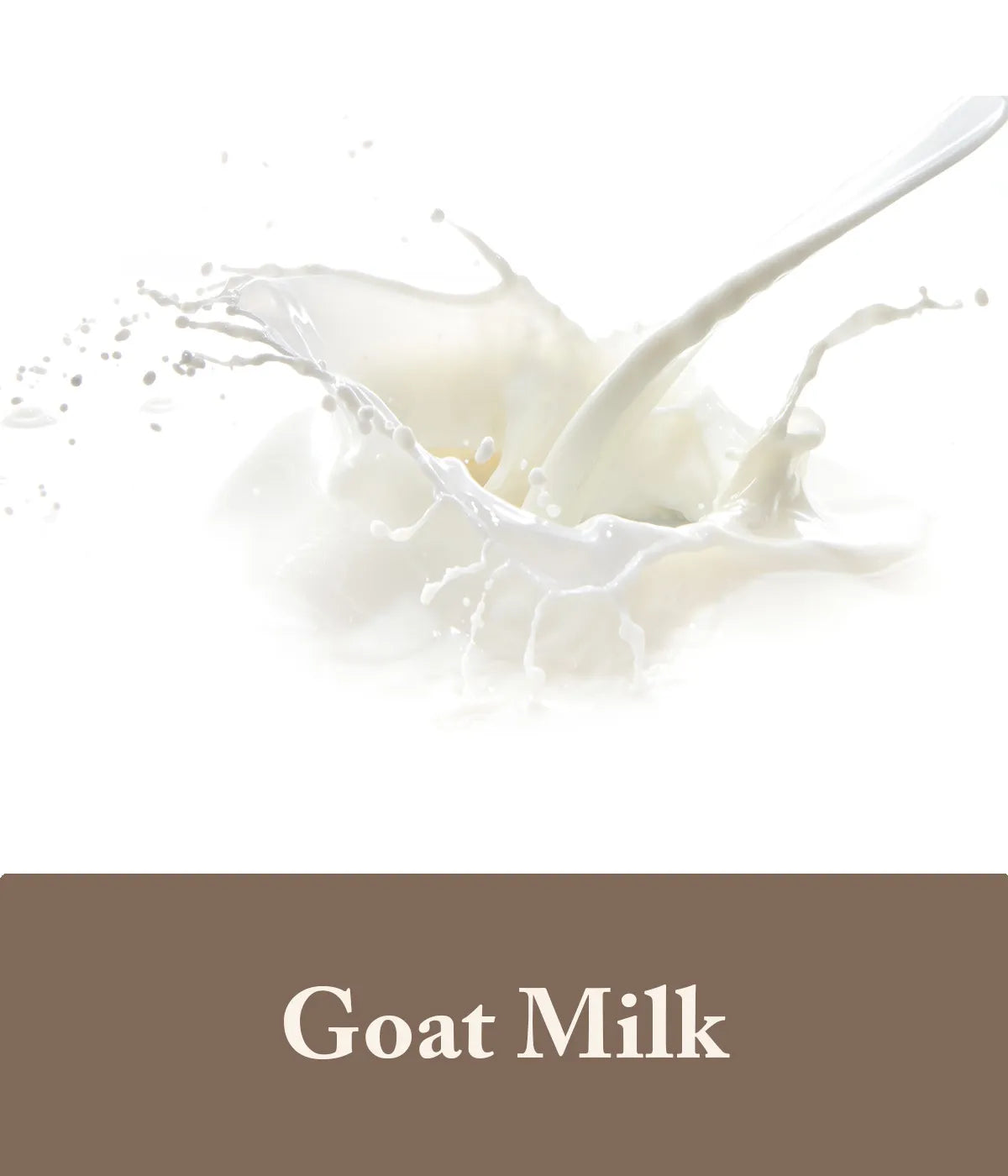 goat milk extract as an ingredient in goat milk shampoo