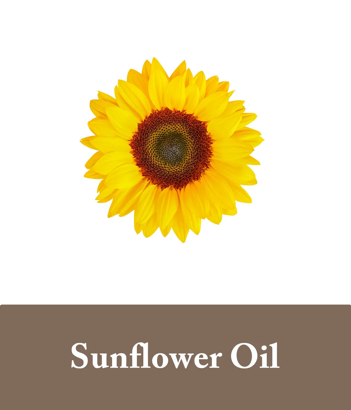 sunflower oil in goat milk shampoo