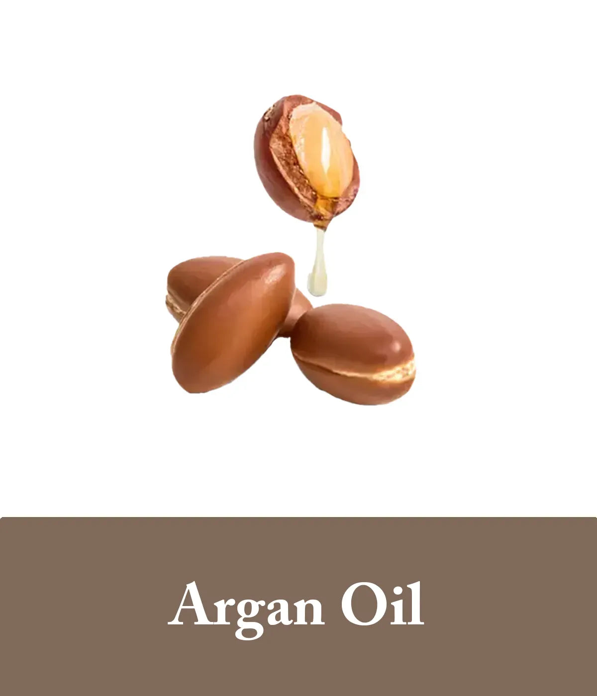 image representing argan oil in goat milk shampoo