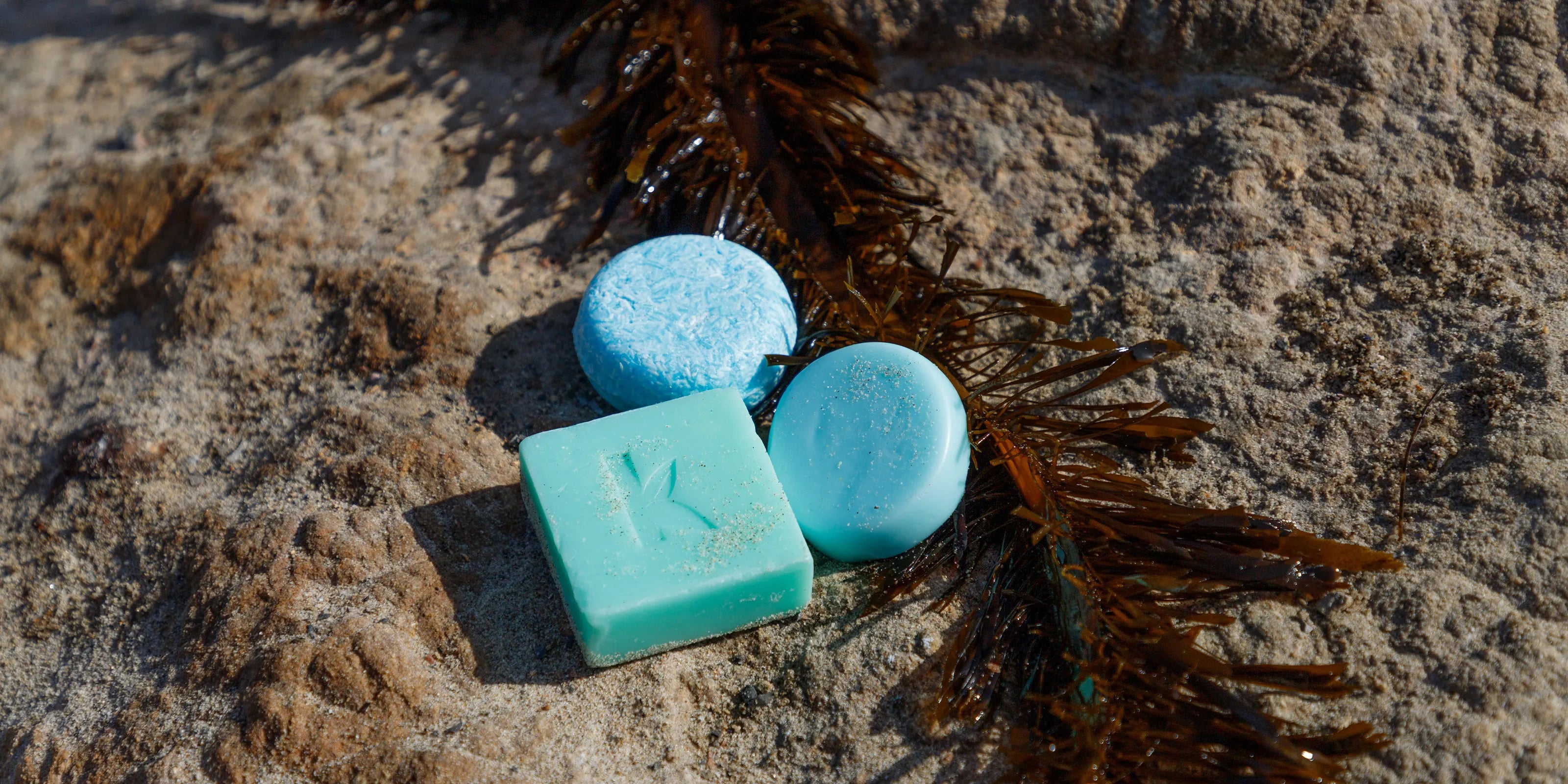 seaweed hair conditioner