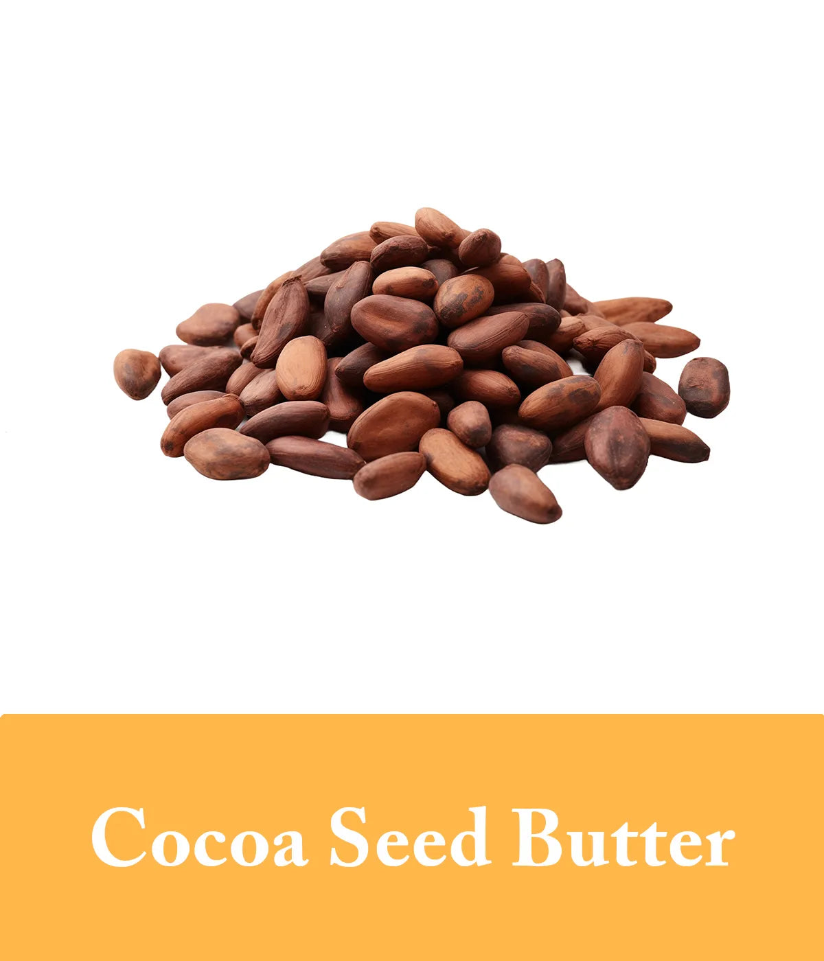 cocoa seed butter in honey conditioner