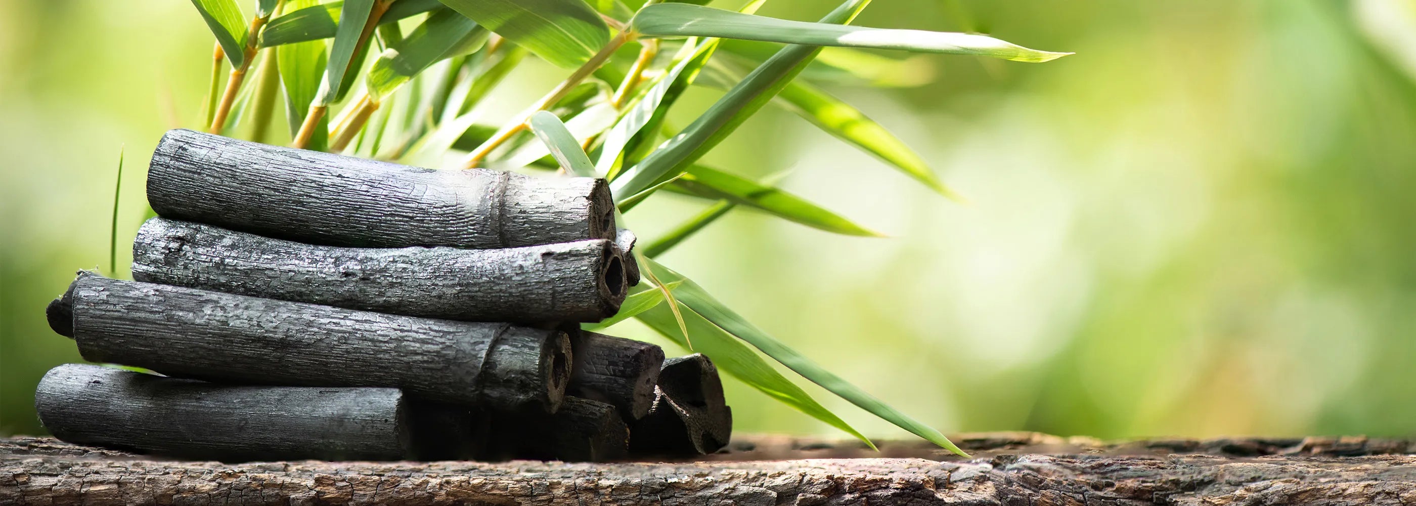 how to use charcoal bags