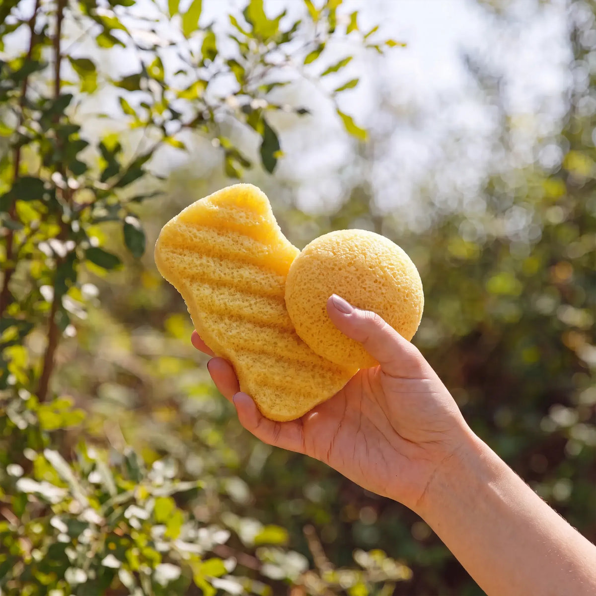 turmeric konjac body sponge