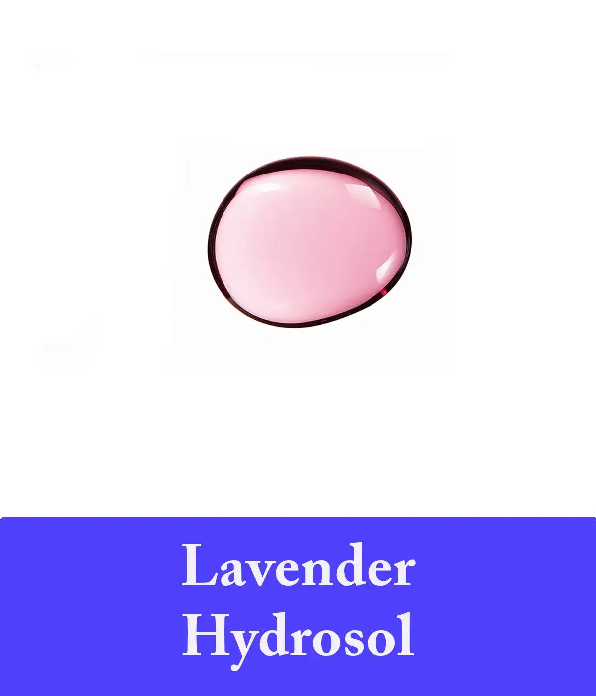 lavender hydrosol in lavender shampoo ingredient