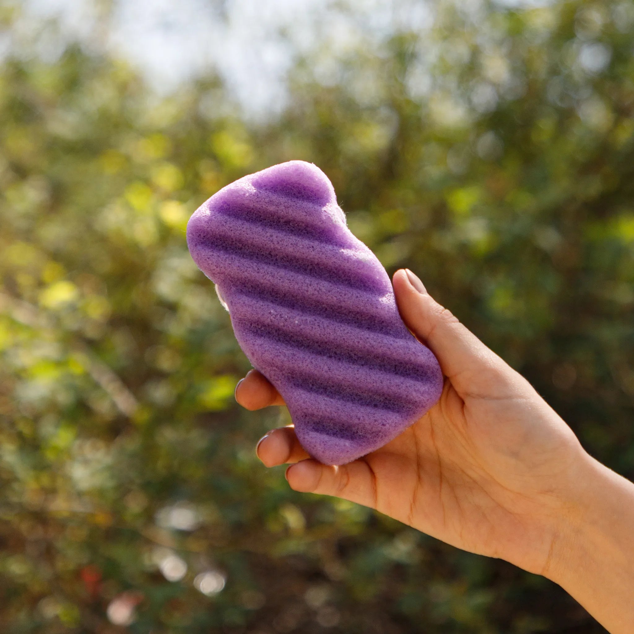 Lavender Konjac Body Sponge