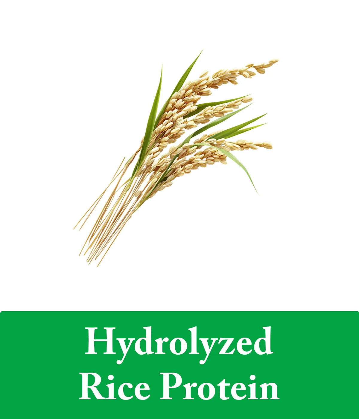 lemon shampoo with rice protein