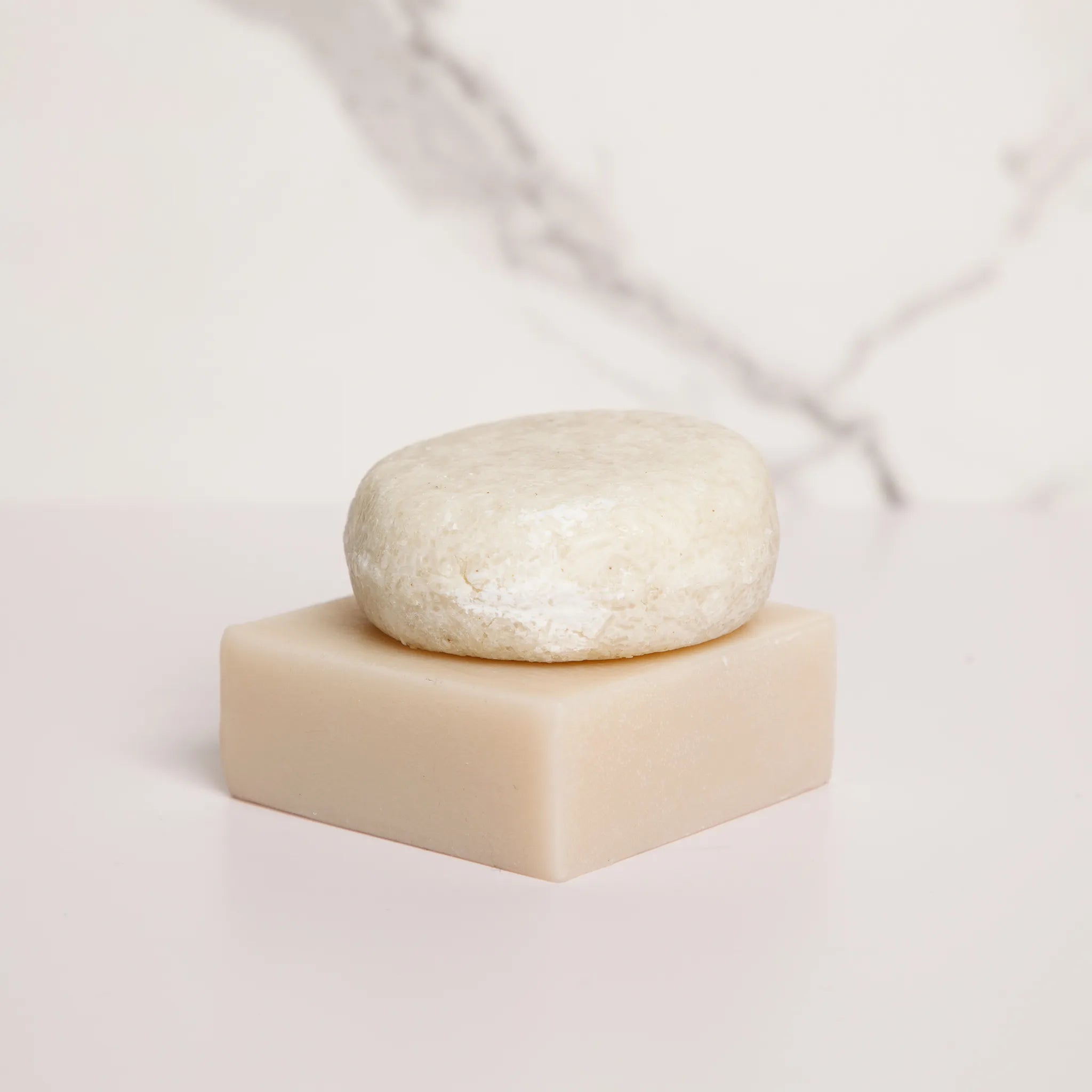 Shampoo and Soap