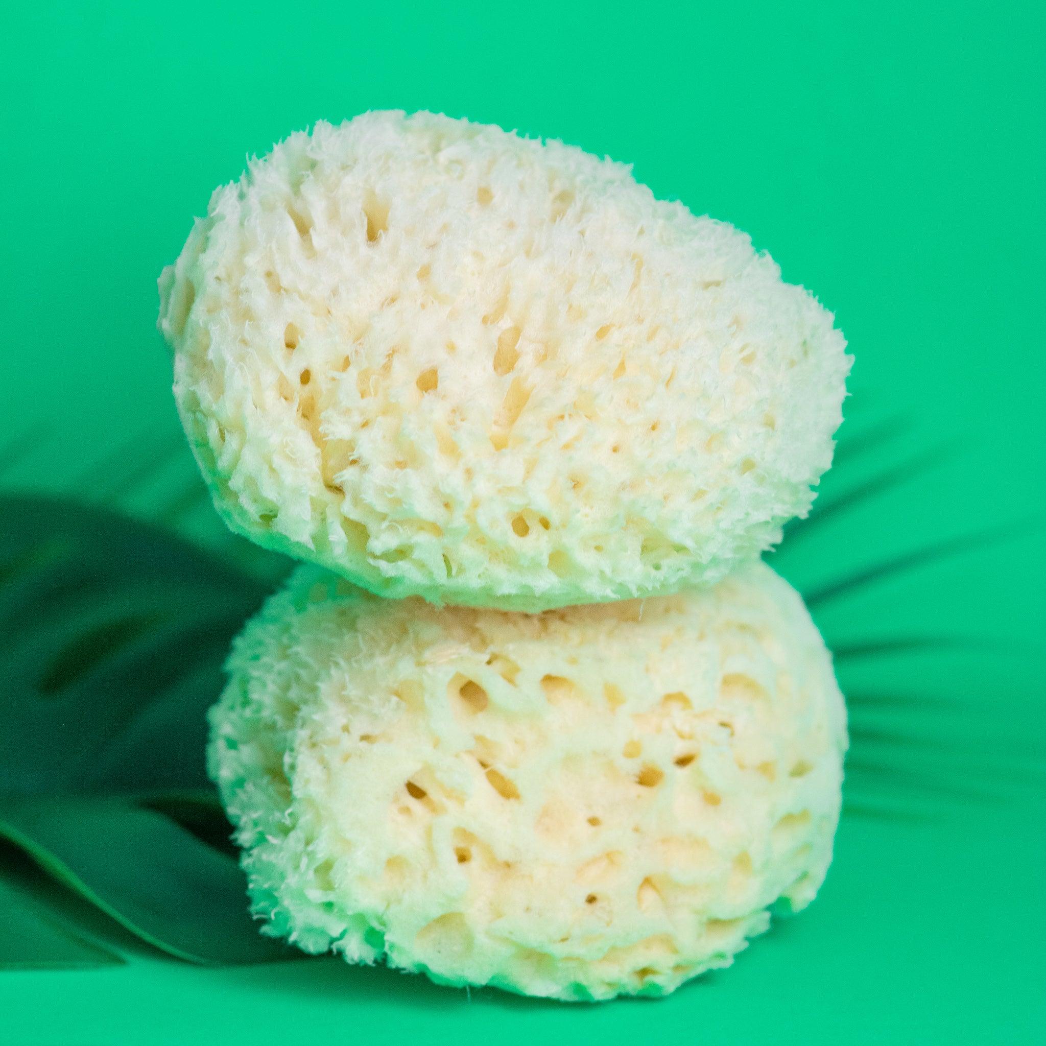 Natural Sea Sponge