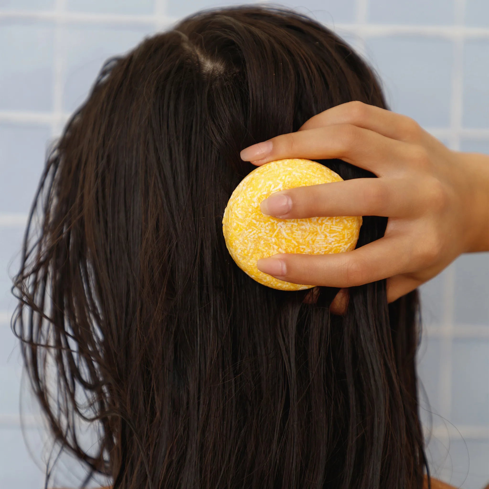 Shampoo Bars