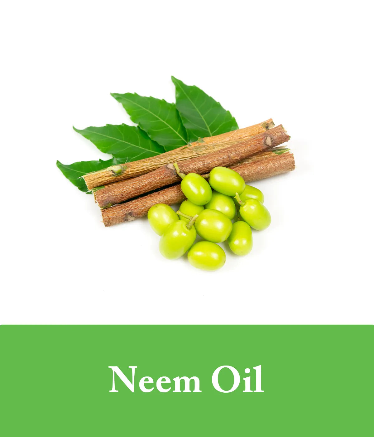 green tea shampoos with neem oil