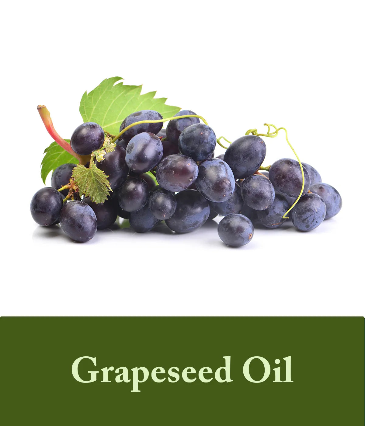 grapeseed oil in olive oil shampoo and conditioner