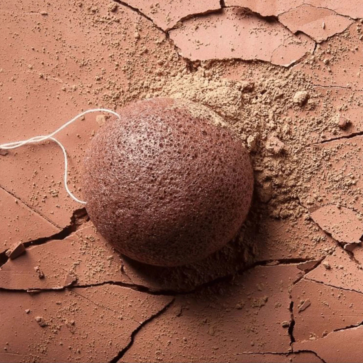 Konjac Sponge