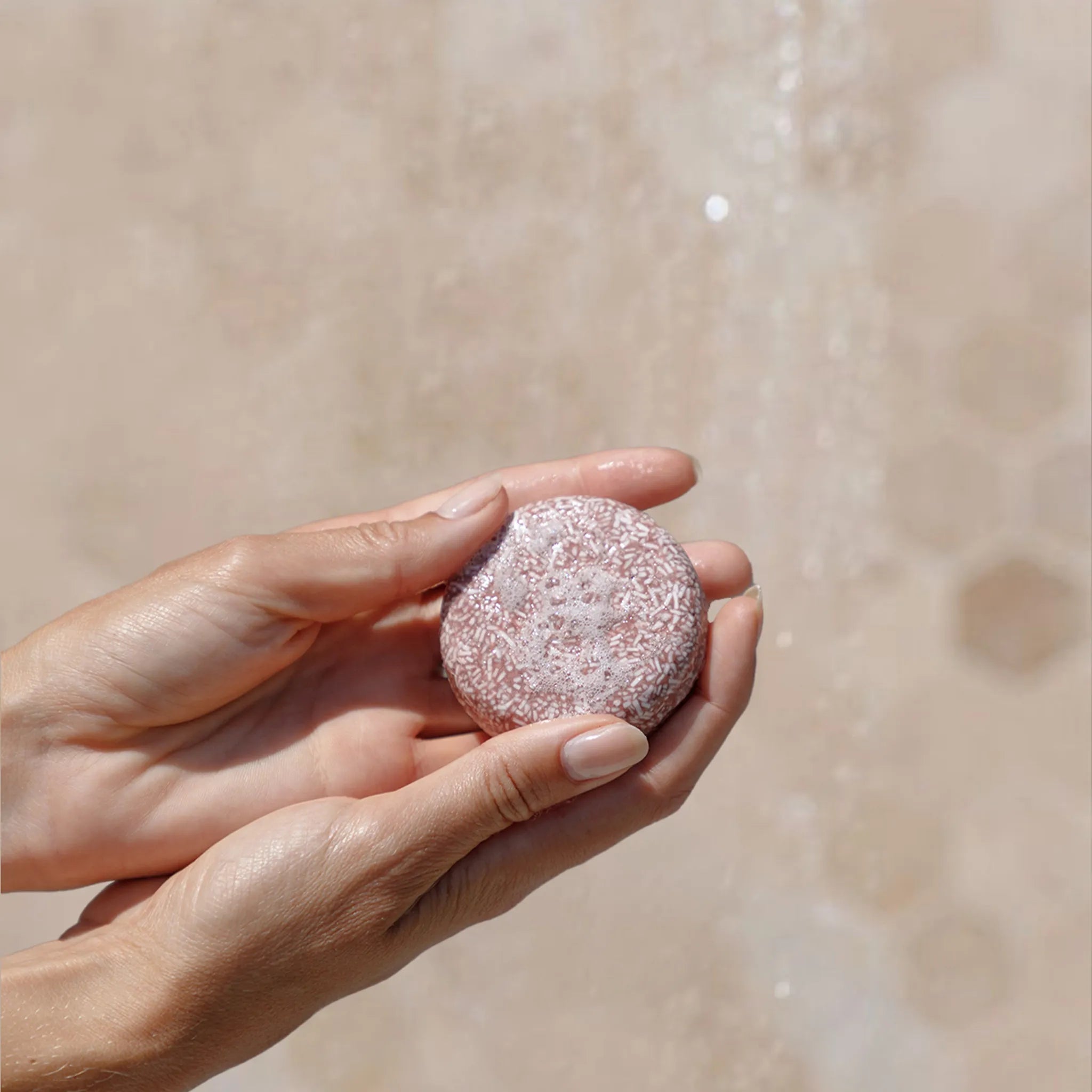 polygonum shampoo bar