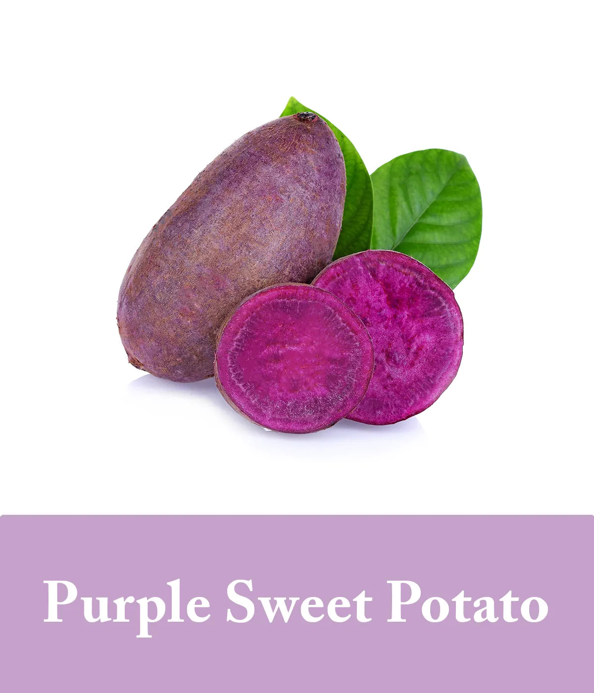 purple shampoo with purple sweet potato