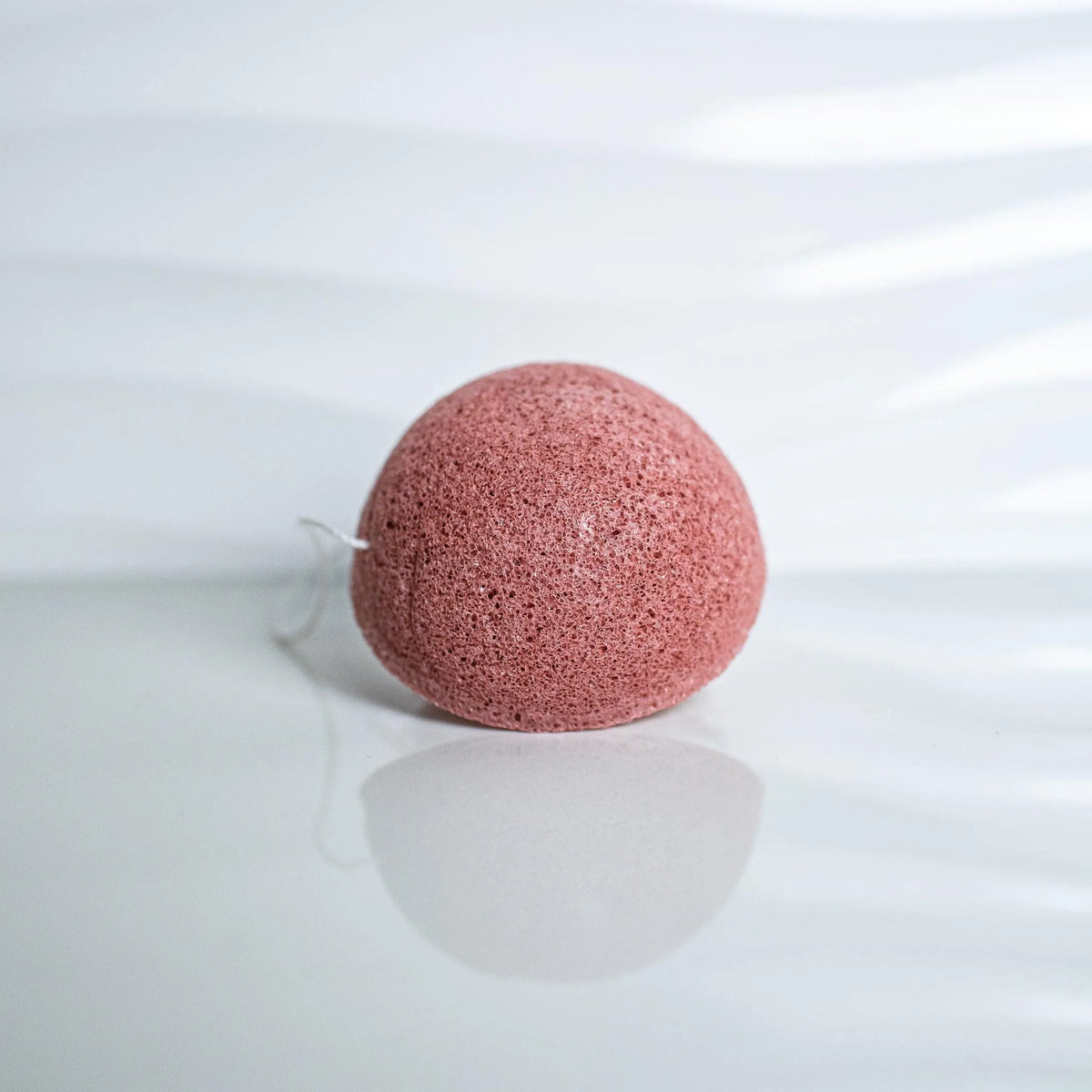 Konjac Sponge