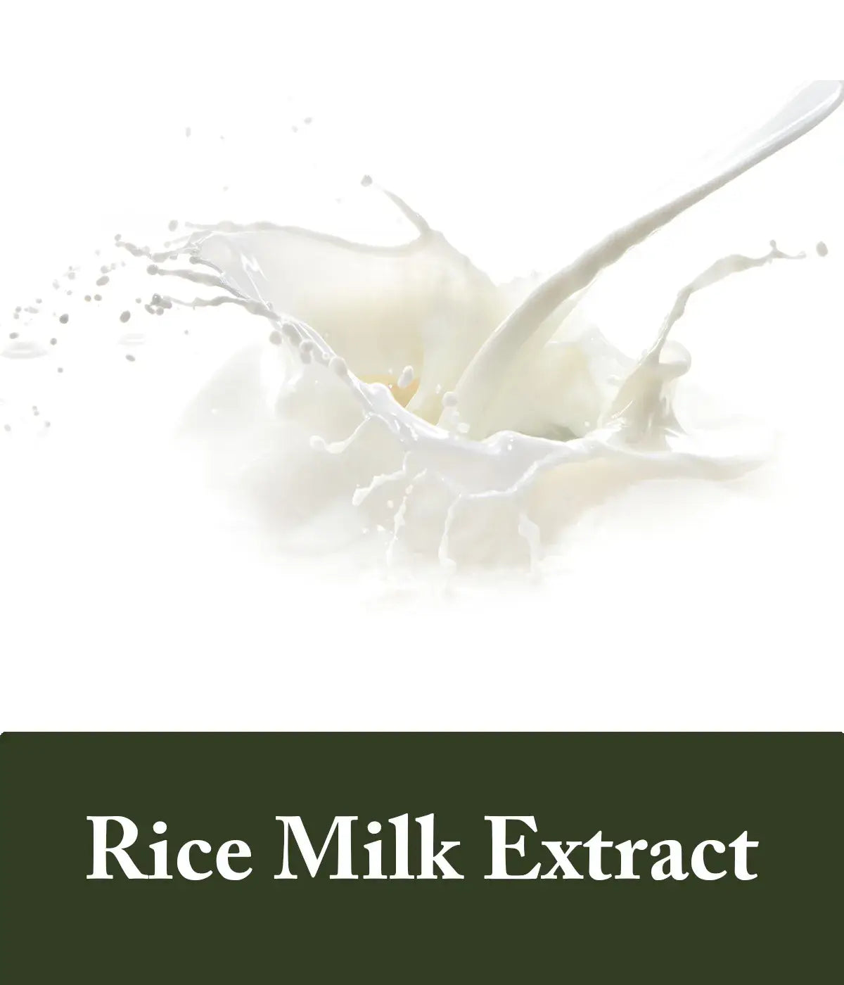 conditioner with rice milk extract