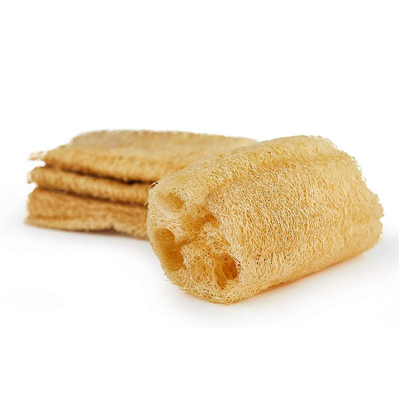 Loofah Sea Sponge
