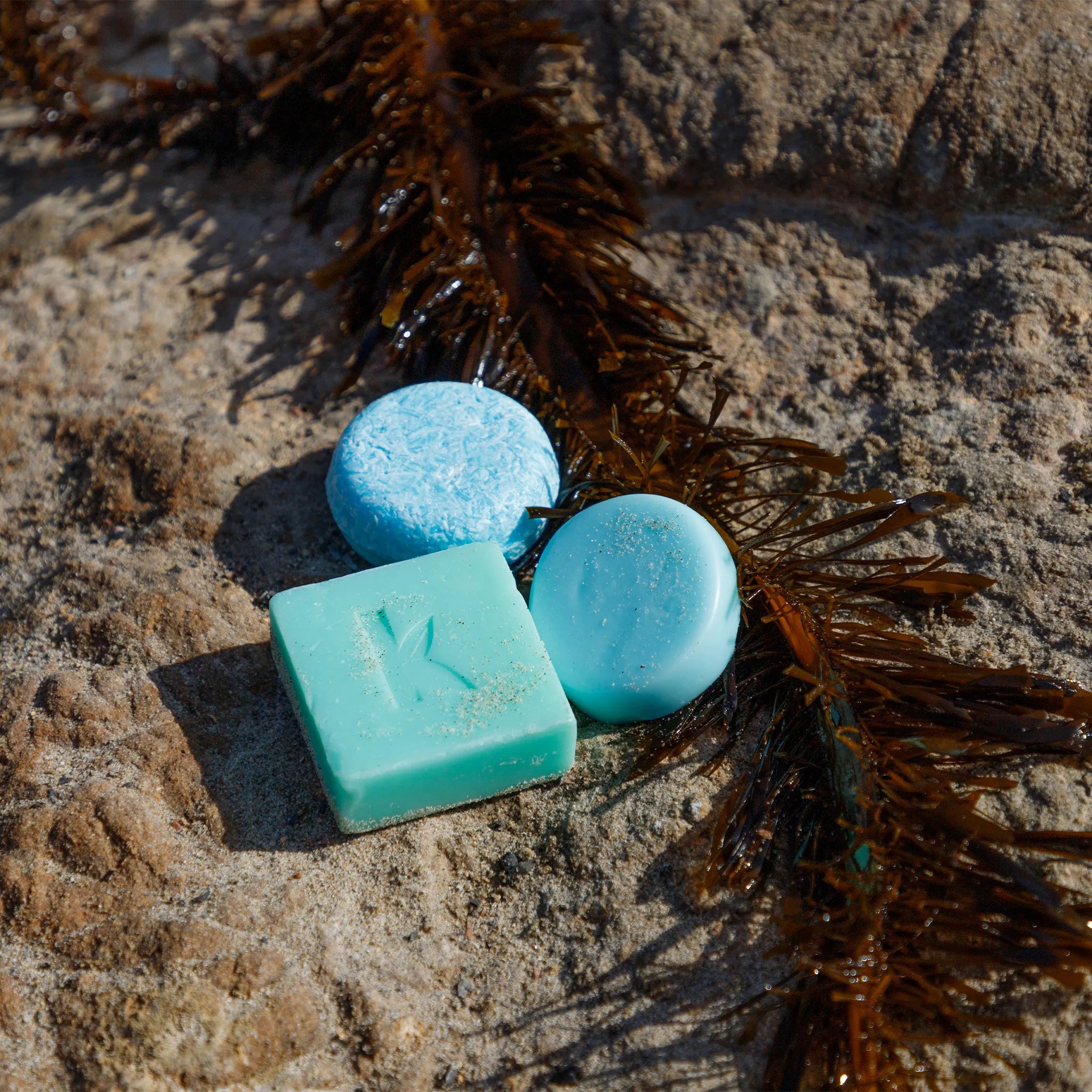 Three seaweed soap bars on a sandy surface with seaweed