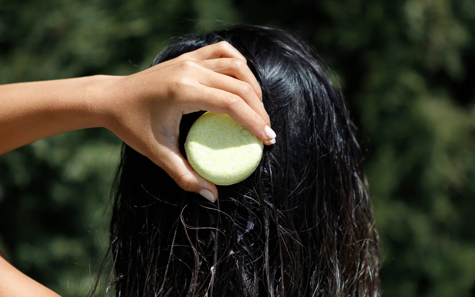 Shampoo Bar Quiz - Seek Bamboo